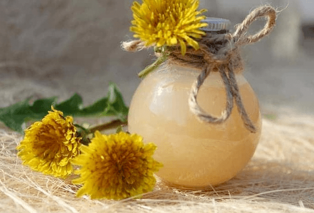 měsíček lékařský